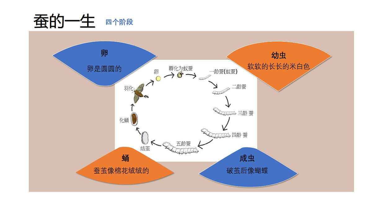 17545165第4页