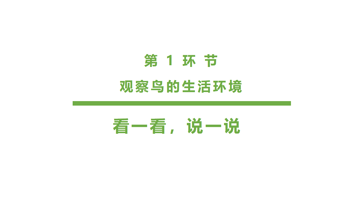 17545165第5页