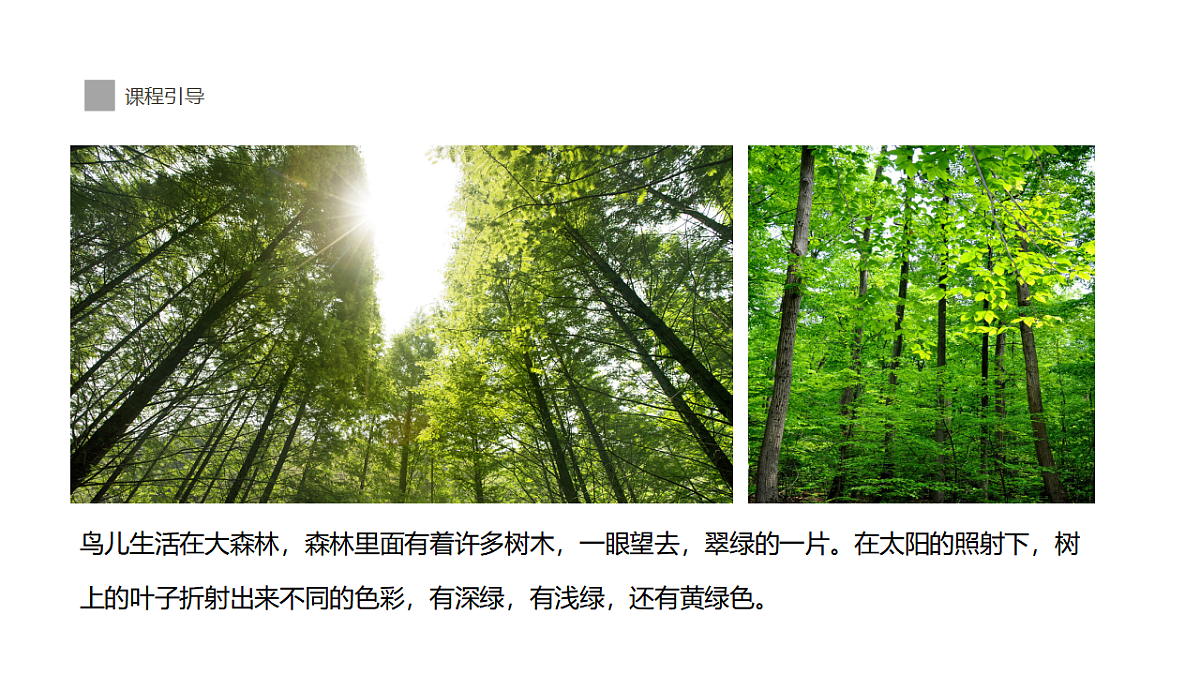 17545165第8页