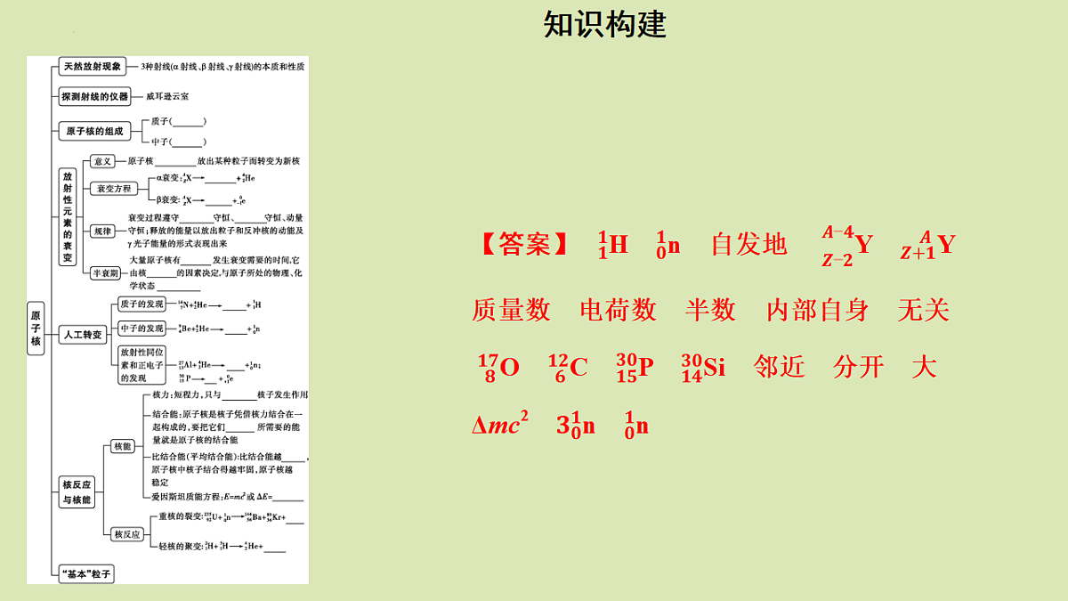 17547423第3页