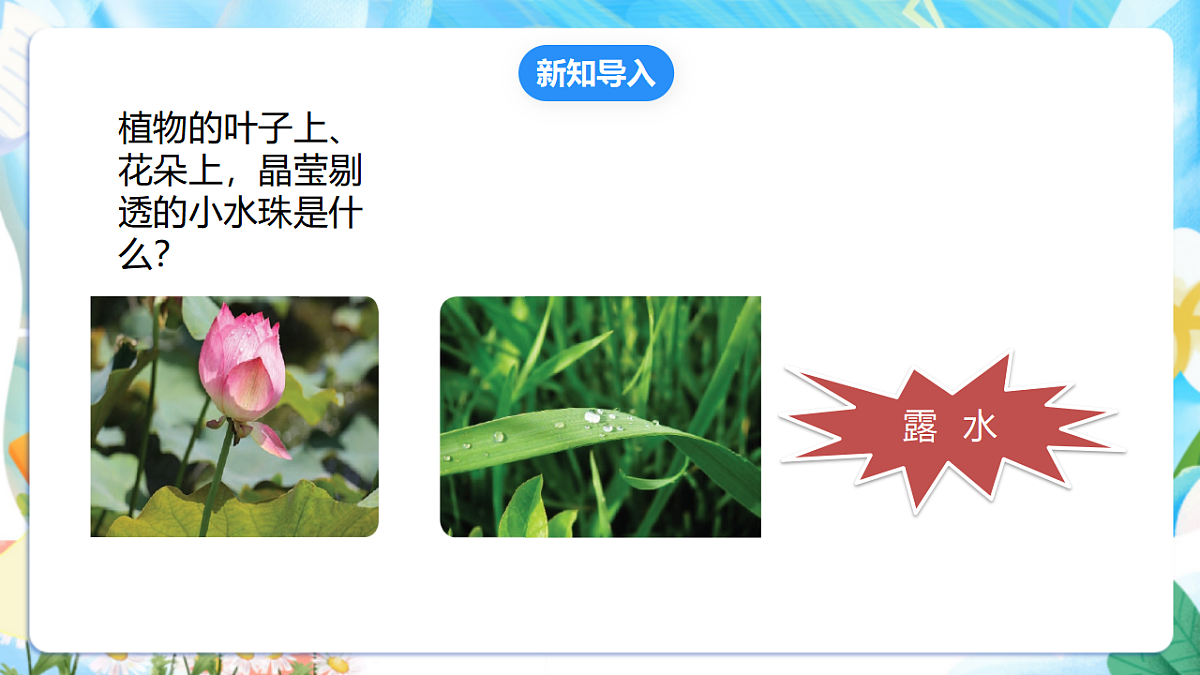 苏教版（2024）科学四下1.4《水遇冷以后》 课件第3页