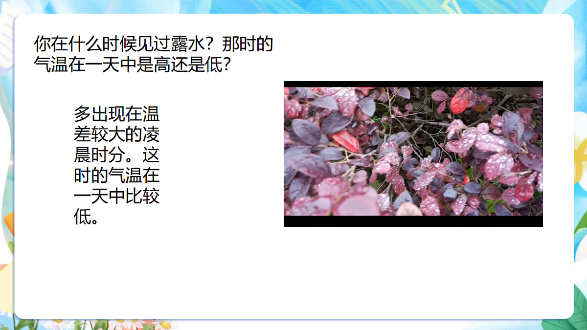 苏教版（2024）科学四下1.4《水遇冷以后》 课件第4页