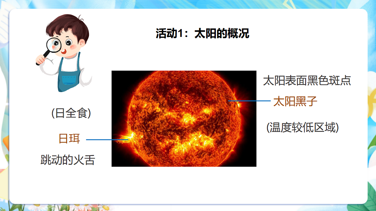 苏教版（2024）科学四下2.7《太阳》 课件第6页