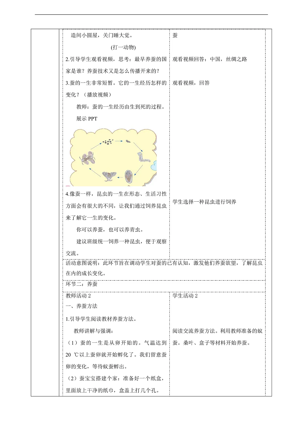 苏教版（2024）科学四下 3.10《养昆虫》 教案第2页
