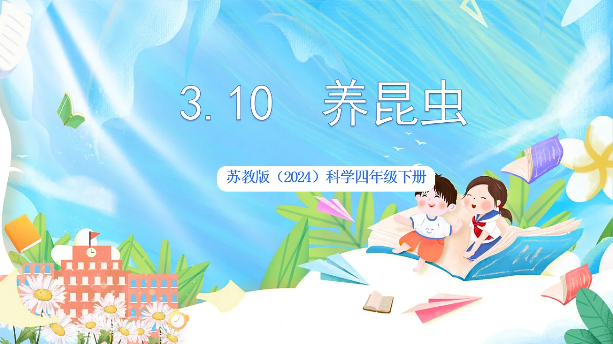 苏教版（2024）科学四下3.10《养昆虫》 课件第1页