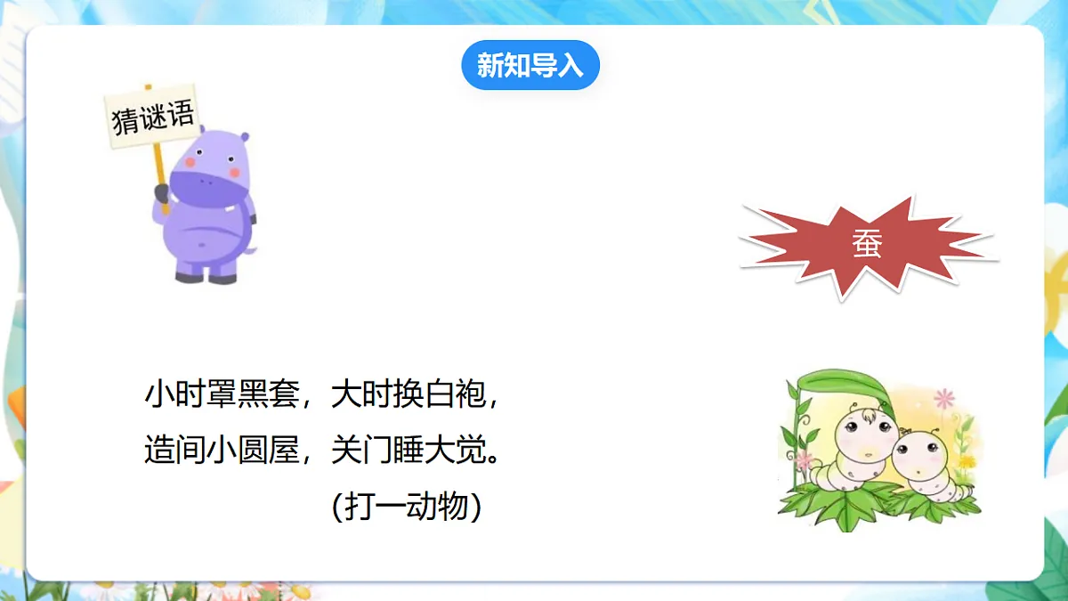 苏教版（2024）科学四下3.10《养昆虫》 课件第3页