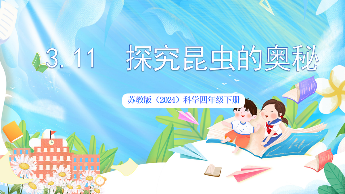 苏教版（2024）科学四下 3.11《探究昆虫的奥秘》 课件第1页