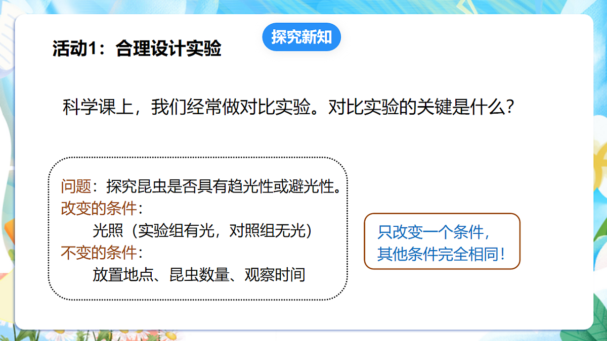 苏教版（2024）科学四下 3.11《探究昆虫的奥秘》 课件第7页