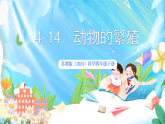 苏教版（2024）科学四下  4.14《动物的繁殖》  课件 +教案+单元整体设计