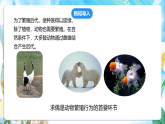 苏教版（2024）科学四下  4.14《动物的繁殖》  课件 +教案+单元整体设计