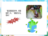 苏教版（2024）科学四下  4.14《动物的繁殖》  课件 +教案+单元整体设计