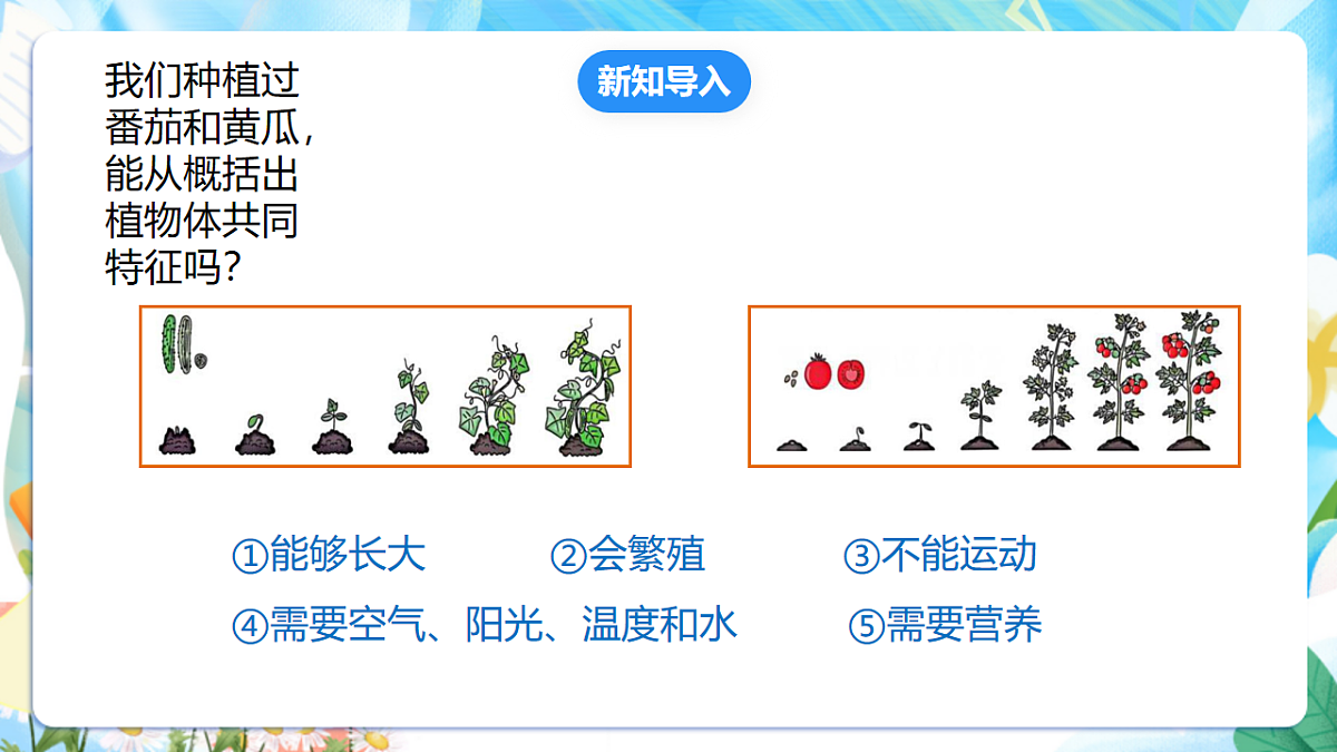 苏教版（2024）科学四下 5.15《生物与非生物》 课件 第3页