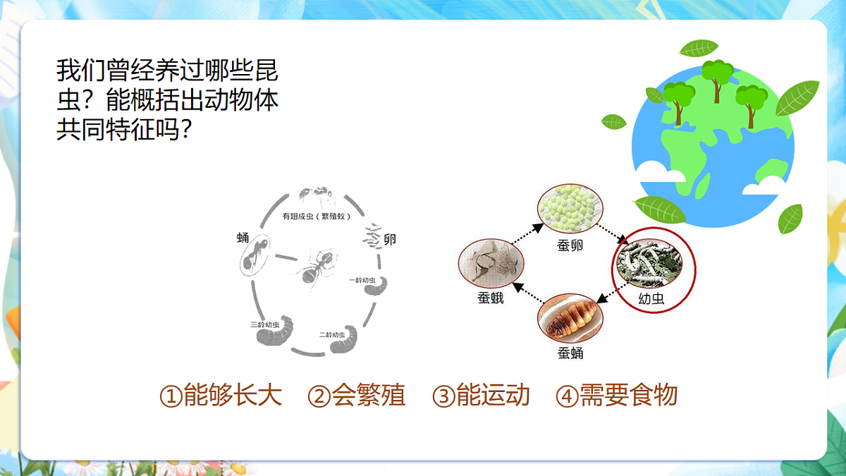 苏教版（2024）科学四下 5.15《生物与非生物》 课件 第4页