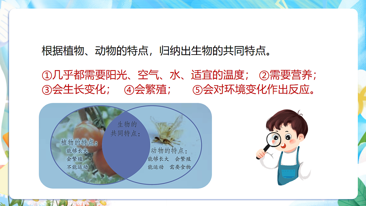 苏教版（2024）科学四下 5.15《生物与非生物》 课件 第5页