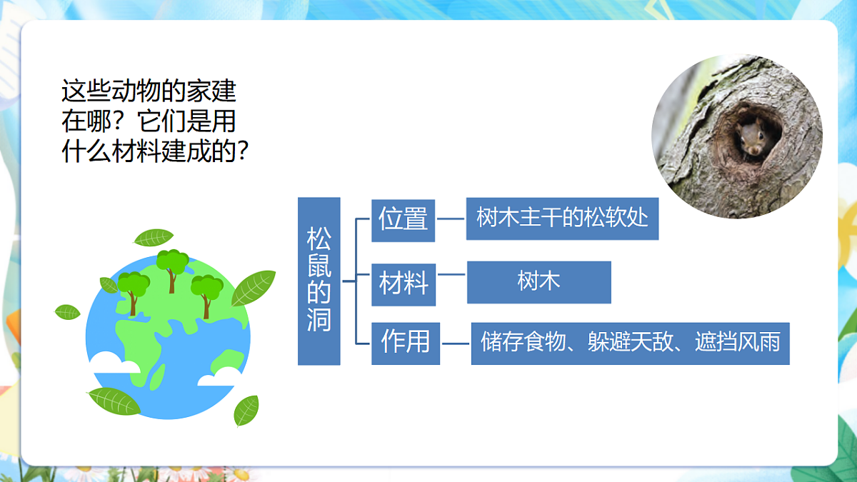 苏教版（2024）科学四下 5.16《动物的庇护所》 课件第5页