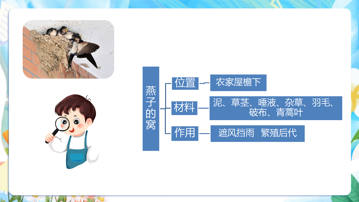 苏教版（2024）科学四下 5.16《动物的庇护所》 课件第6页