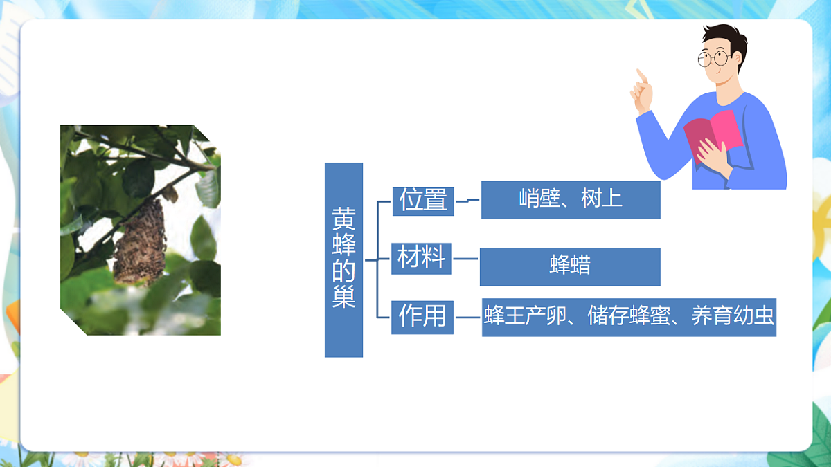 苏教版（2024）科学四下 5.16《动物的庇护所》 课件第8页