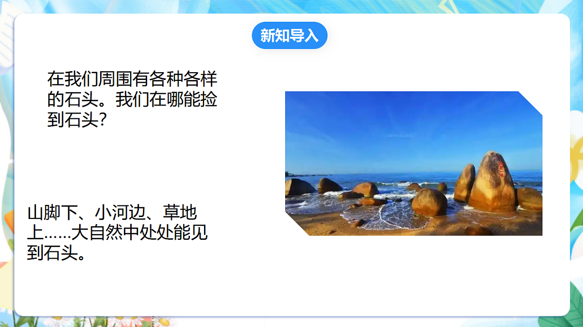 苏教版（2024）科学一下 1.1《捡石头》课件 第3页