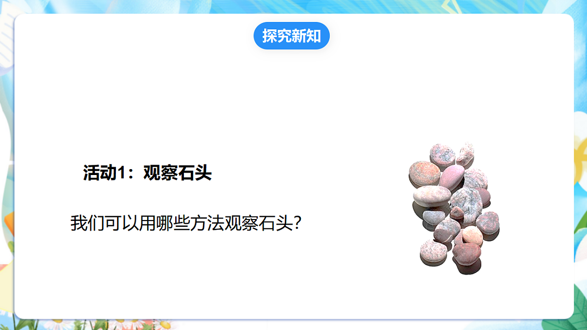 苏教版（2024）科学一下 1.1《捡石头》课件 第8页