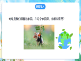 苏教版（2024）科学一下 4.10《形形色色的动物》课件 +教案+单元整体设计