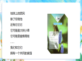 苏教版（2024）科学一下 4.10《形形色色的动物》课件 +教案+单元整体设计