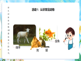苏教版（2024）科学一下 4.10《形形色色的动物》课件 +教案+单元整体设计