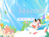 苏教版（2024）科学一下 4.11《多姿多彩的植物》课件 +教案+单元整体设计
