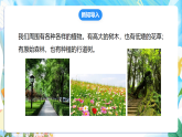 苏教版（2024）科学一下 4.11《多姿多彩的植物》课件 +教案+单元整体设计
