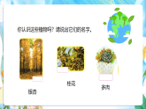 苏教版（2024）科学一下 4.11《多姿多彩的植物》课件 +教案+单元整体设计