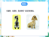 苏教版（2024）科学一下 4.12《动物与植物》课件 +教案+单元整体设计