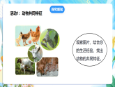 苏教版（2024）科学一下 4.12《动物与植物》课件 +教案+单元整体设计