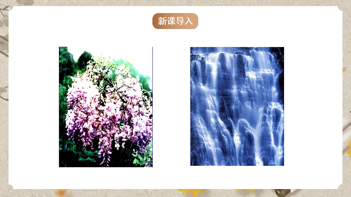 人教统编版语文七年级下册 1.19《紫藤萝瀑布》课件第2页