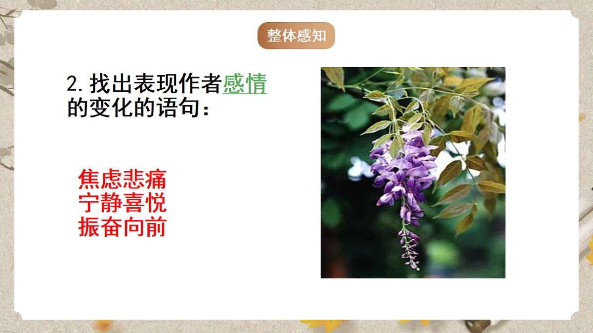 人教统编版语文七年级下册 1.19《紫藤萝瀑布》课件第8页