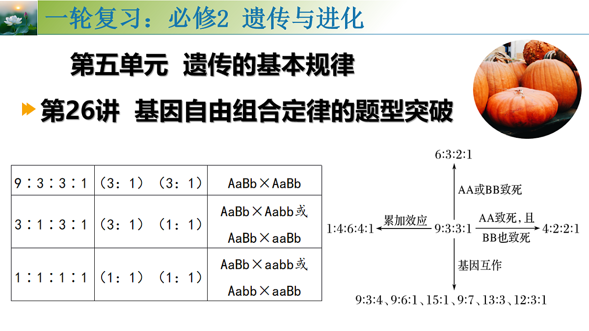 17548444第1页