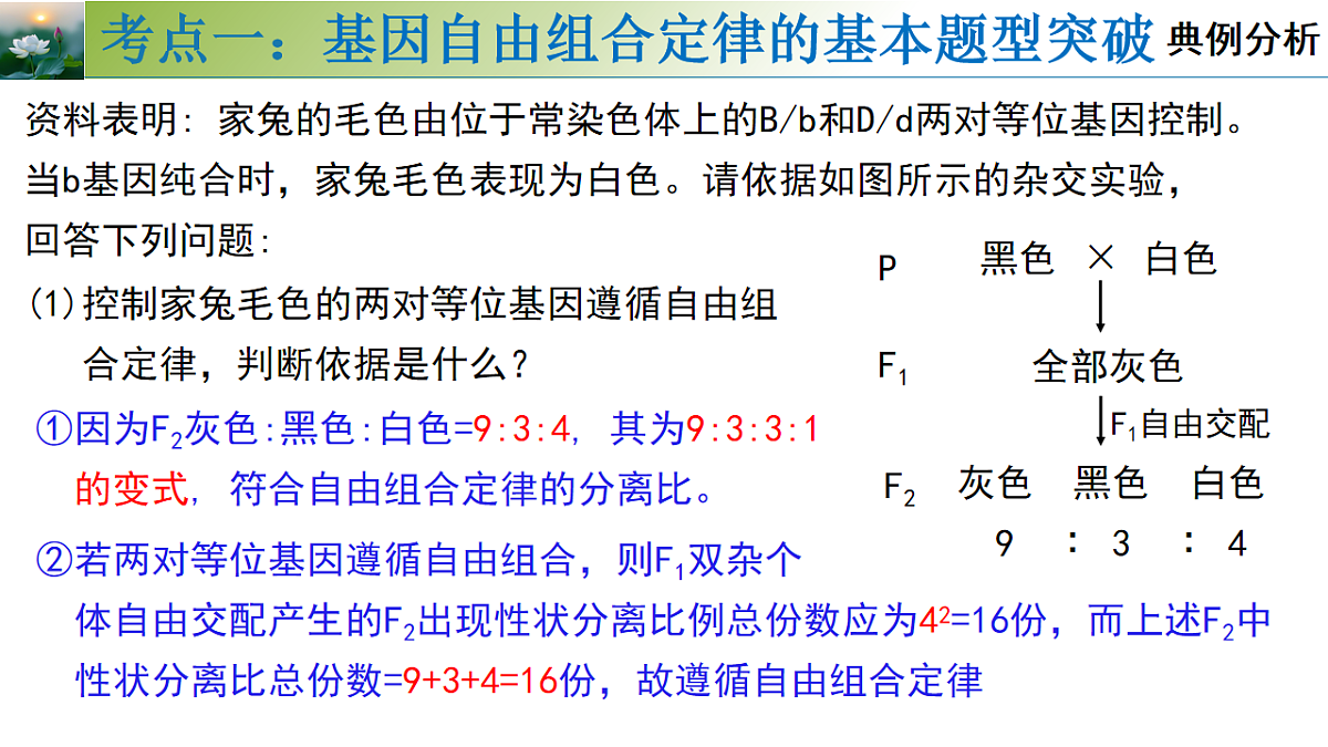 17548444第6页