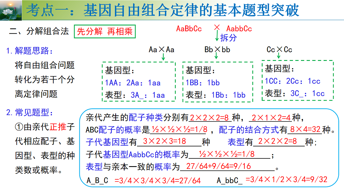 17548444第8页