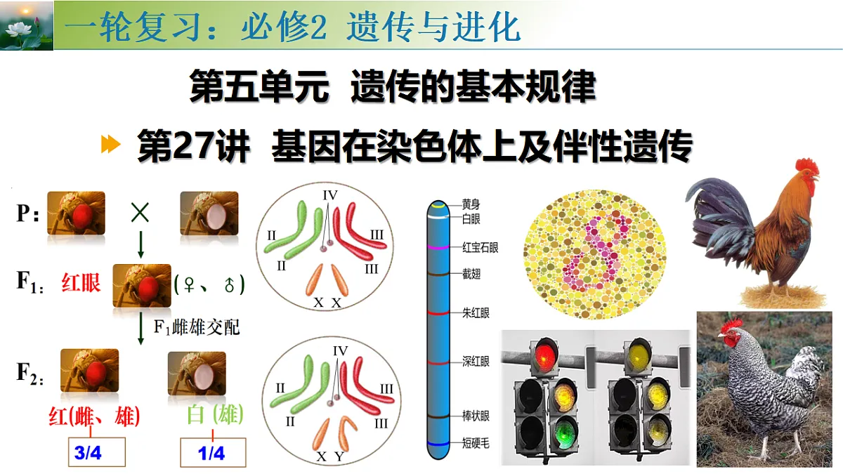 17548445第1页