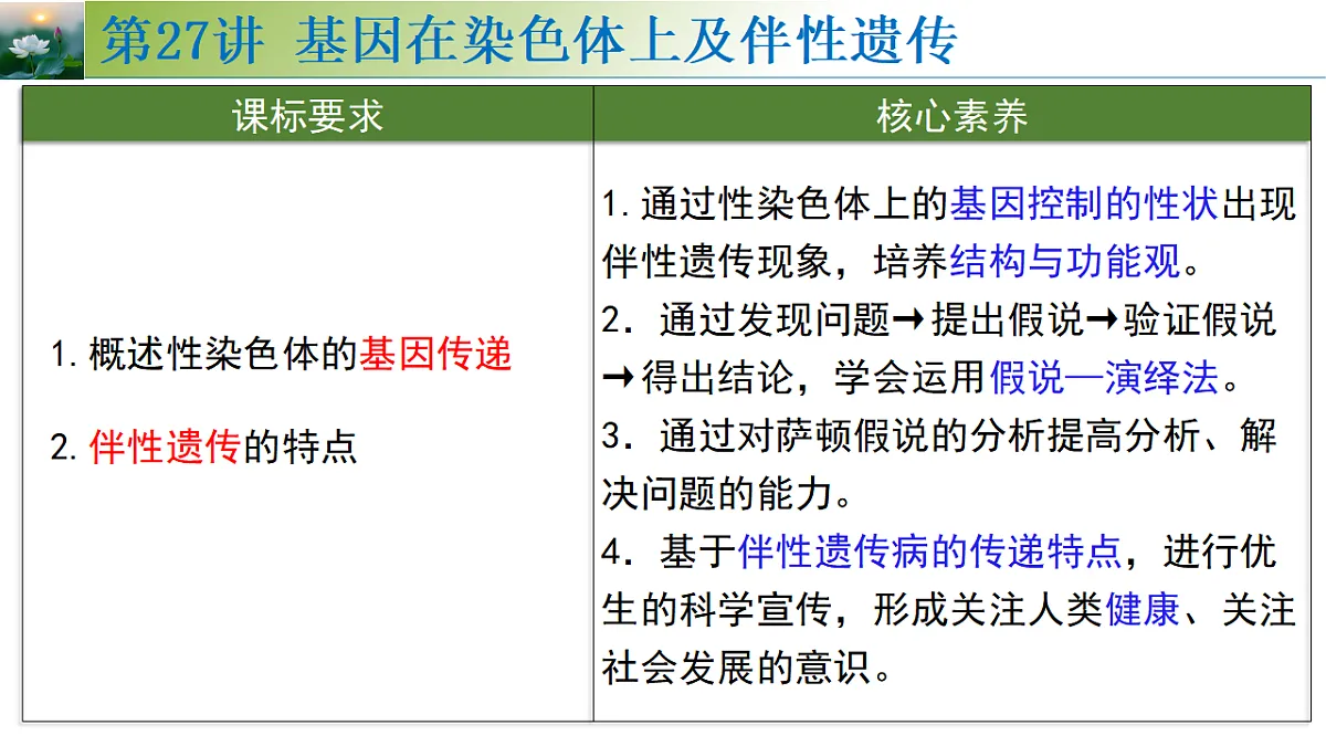 17548445第2页