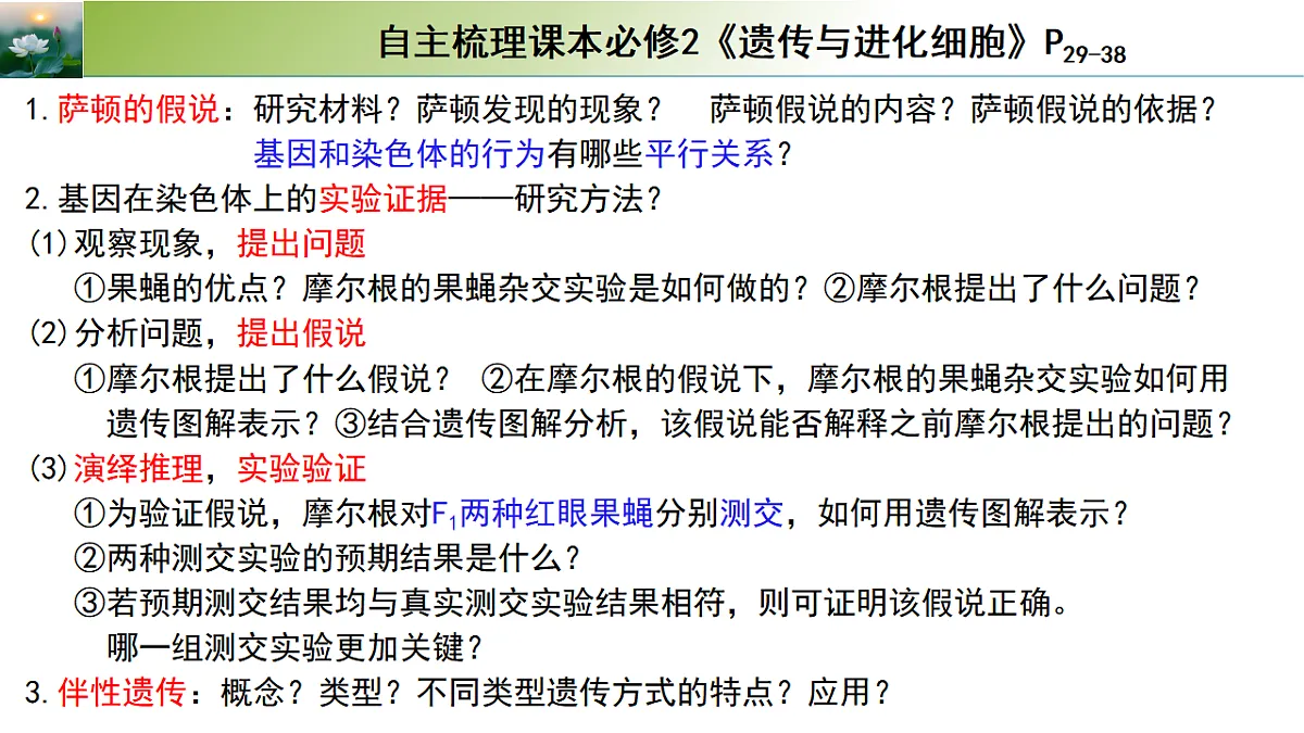 17548445第3页