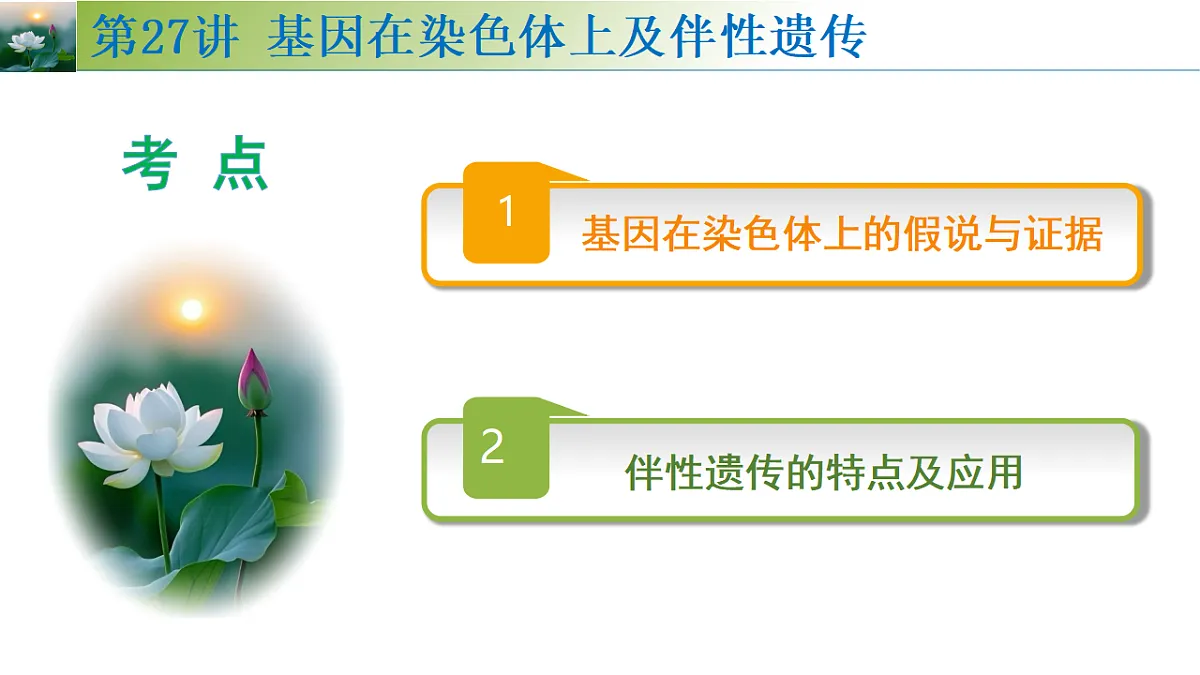 17548445第4页