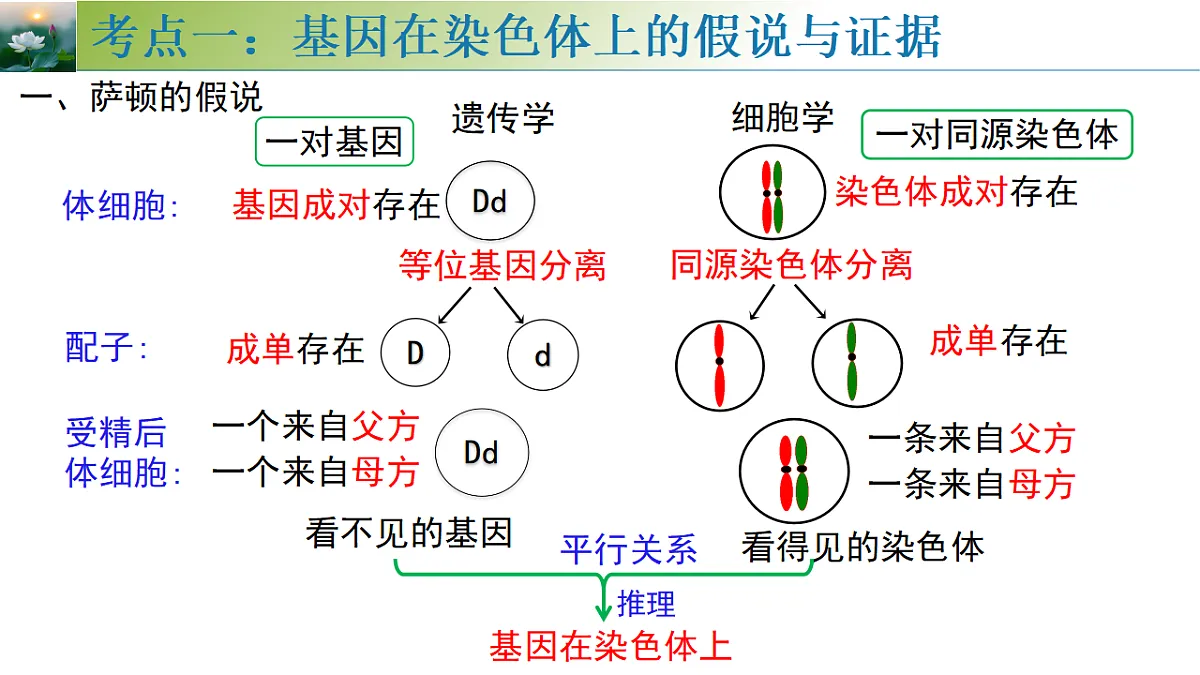 17548445第5页