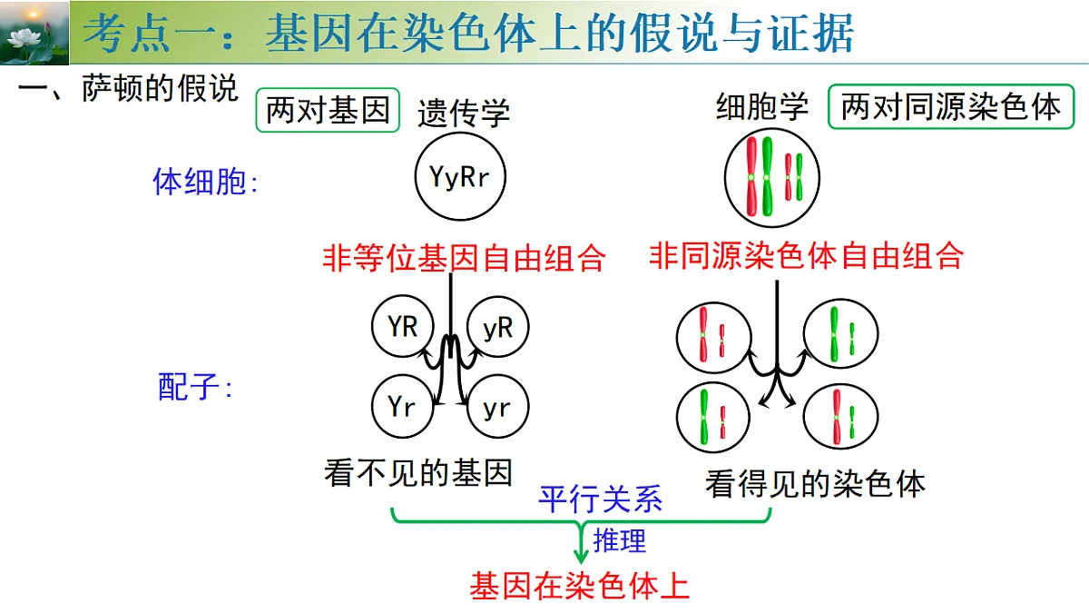 17548445第6页