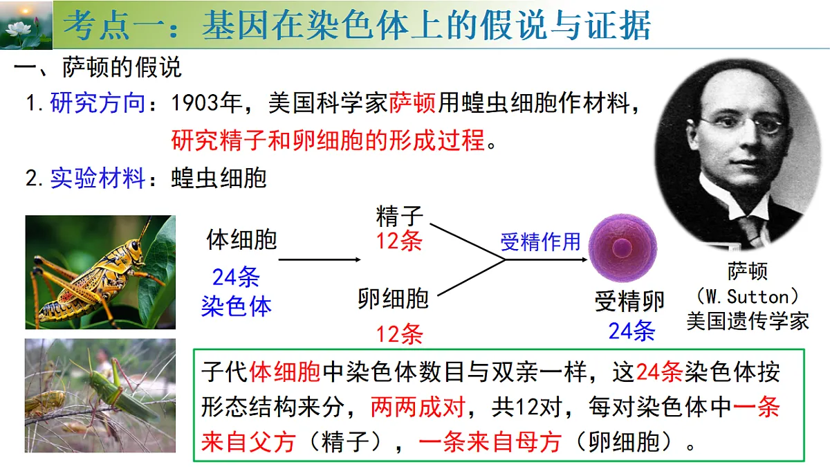 17548445第7页