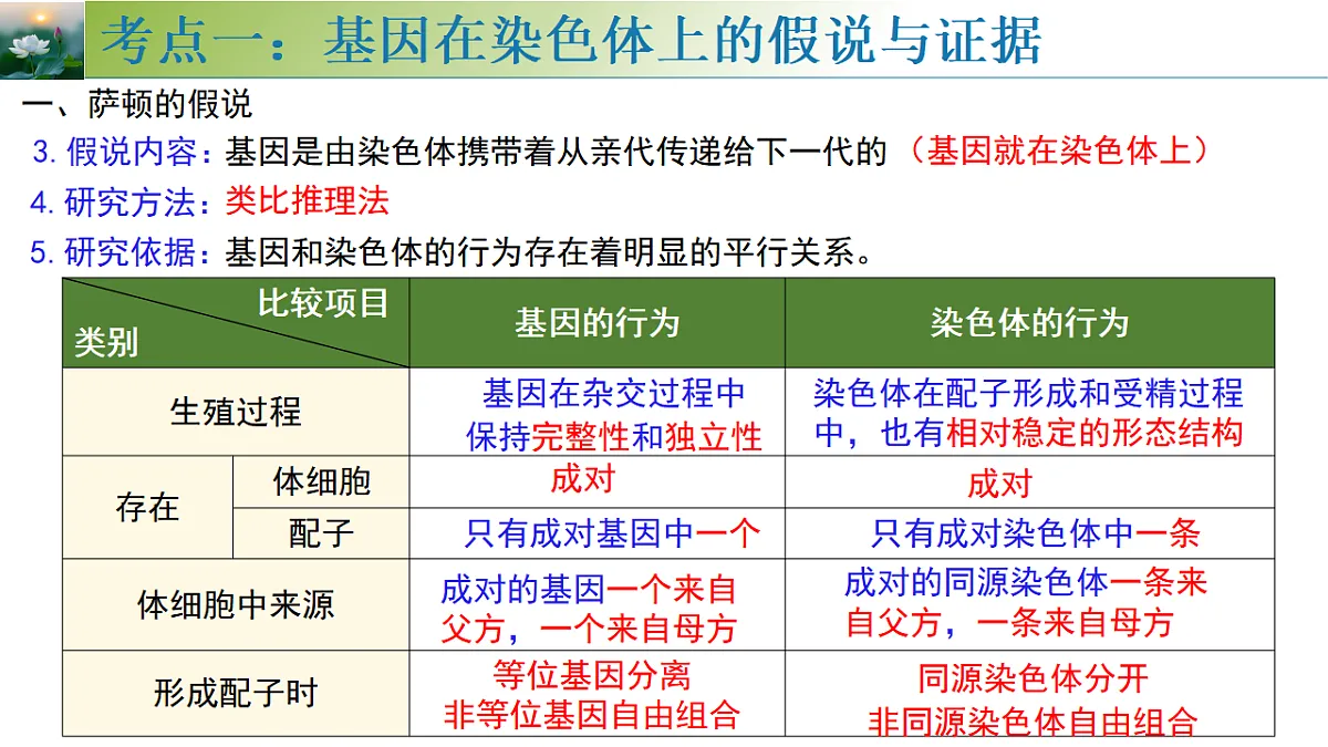 17548445第8页