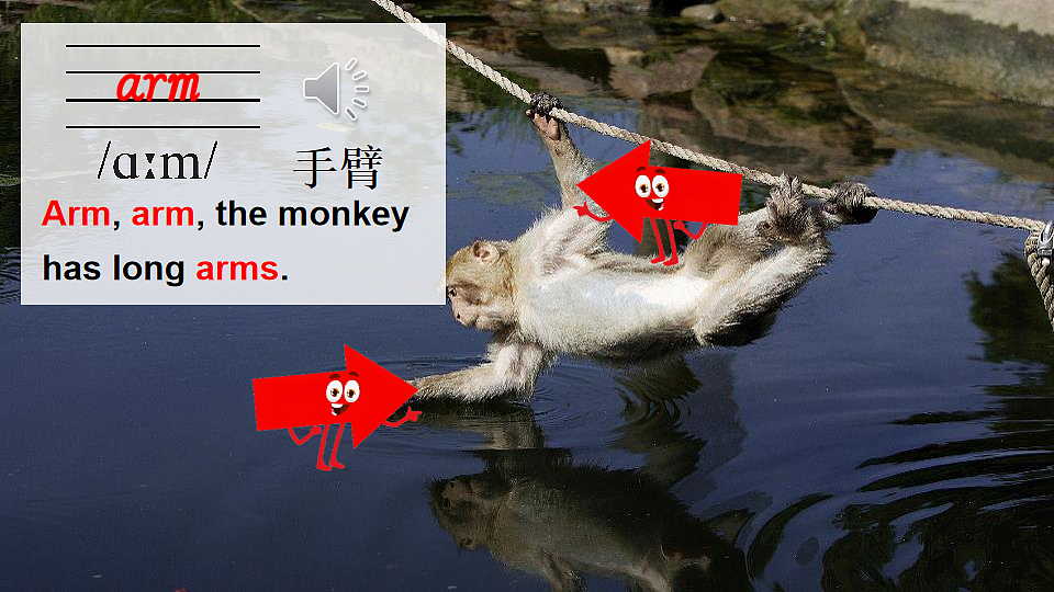 17548617第6页