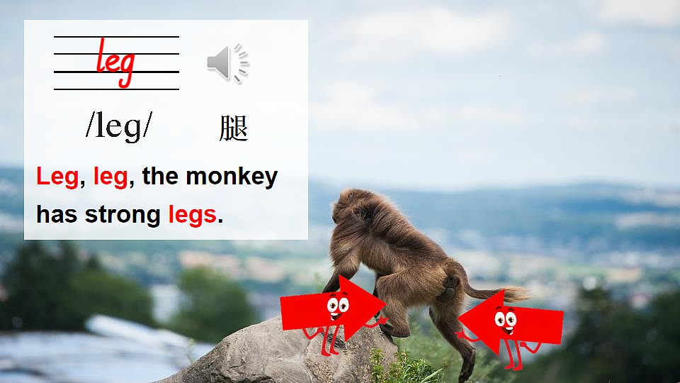 17548617第8页