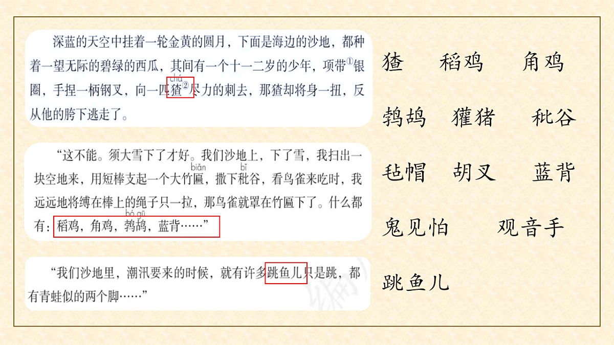 17548678第7页