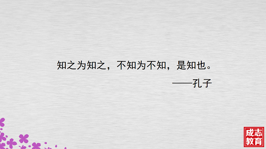 17548686第3页