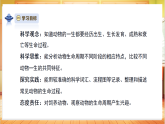 【教学评一体化】大象版三上科学  3.5《动物的一生》课件+教学设计表格式+单元整体教案