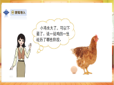 【教学评一体化】大象版三上科学  3.5《动物的一生》课件+教学设计表格式+单元整体教案
